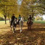 The Best Peak District Experiences! 1
